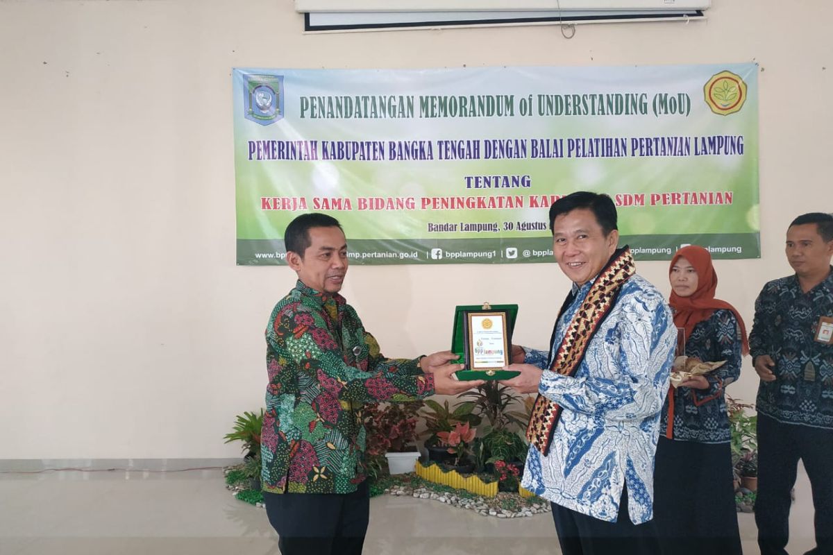 Pemkab Bangka Tengah gandeng BPP Lampung kembangkan pertanian
