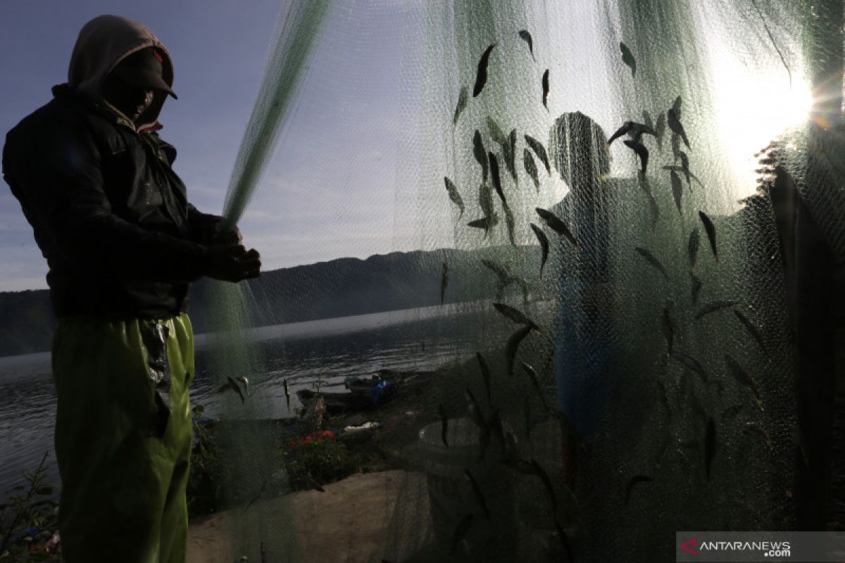 KKP perkenalkan konsep "speectra" untuk selamatkan ikan endemik