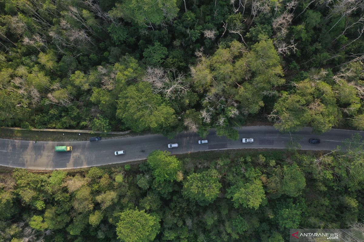 Pemkab Kutai Kartanegara alokasikan hutan lindung ratusan ribu hektare