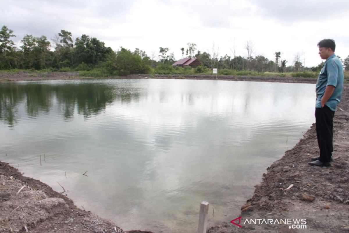 Mahalnya bibit dan pakan jadi kendala budidaya ikan Patin di Penajam