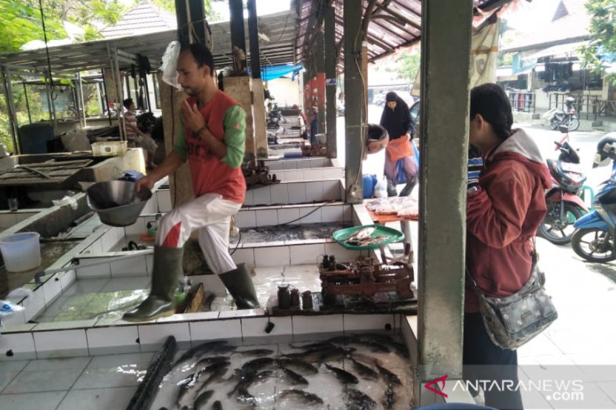 Harga Ikan Mas Di Pasar Cianjur Naik 15 Persen Antara News Jawa Barat