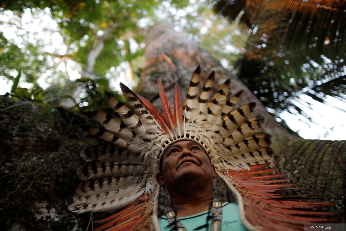 Suku-suku menyerukan hutan Amazon dilindungi