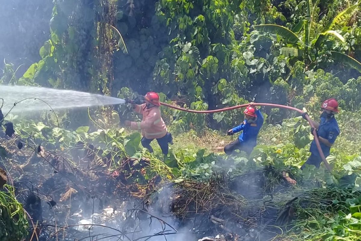 Di Minahasa terjadi 16 kasus kebakaran lahan