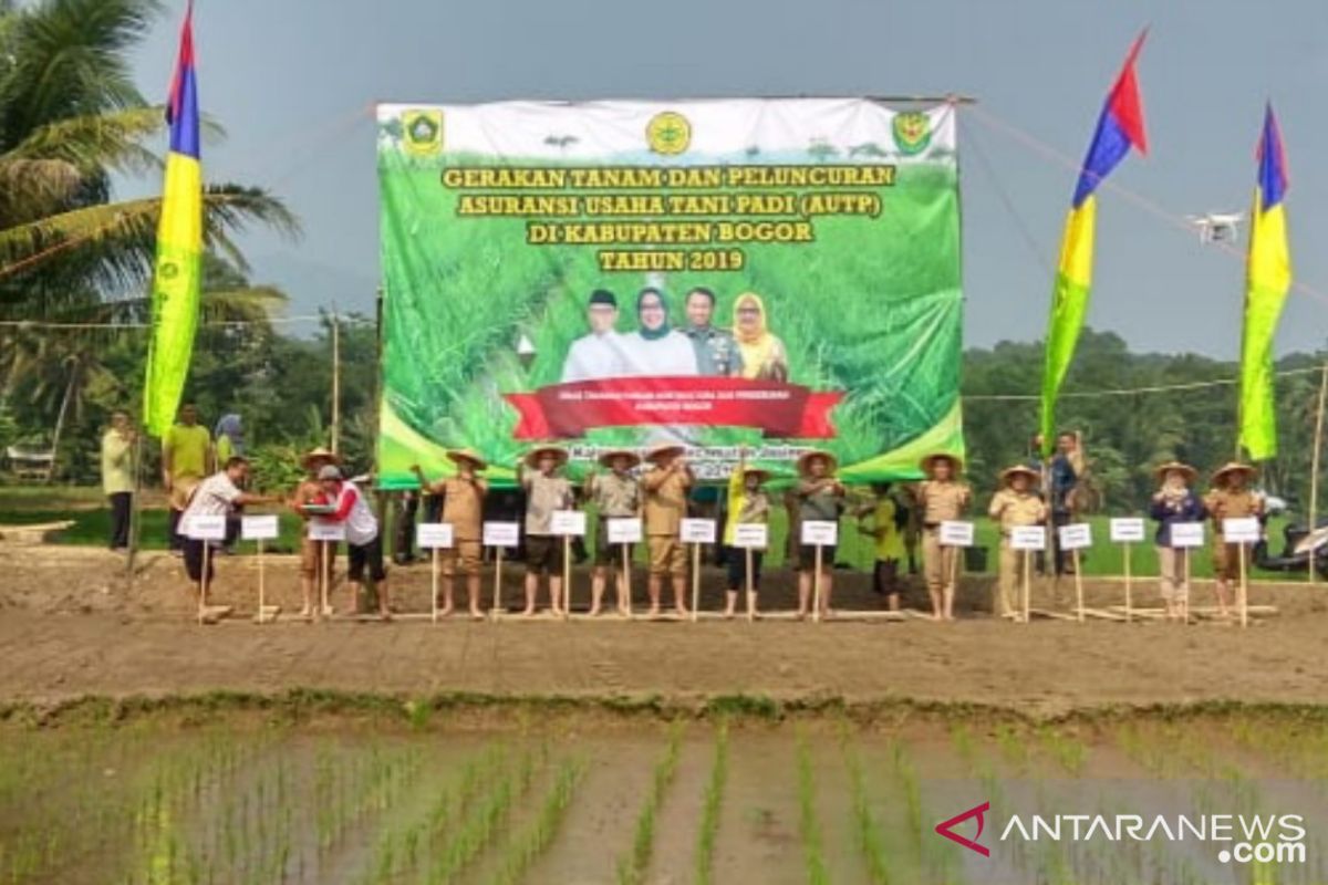 Jasinga, wilayah paling terdampak kemarau di Bogor