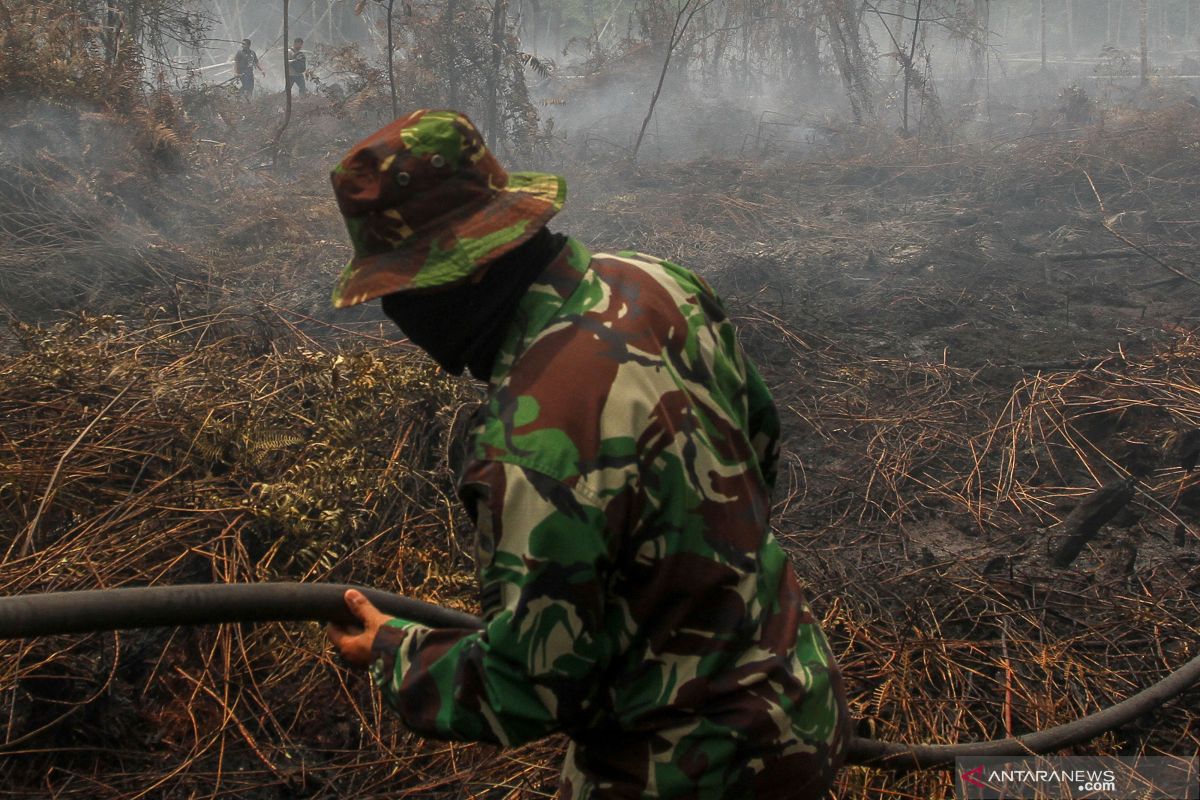 Karhutla Riau - Kebakaran lahan muncul di konsesi Chevron di Riau, begini penjelasannya