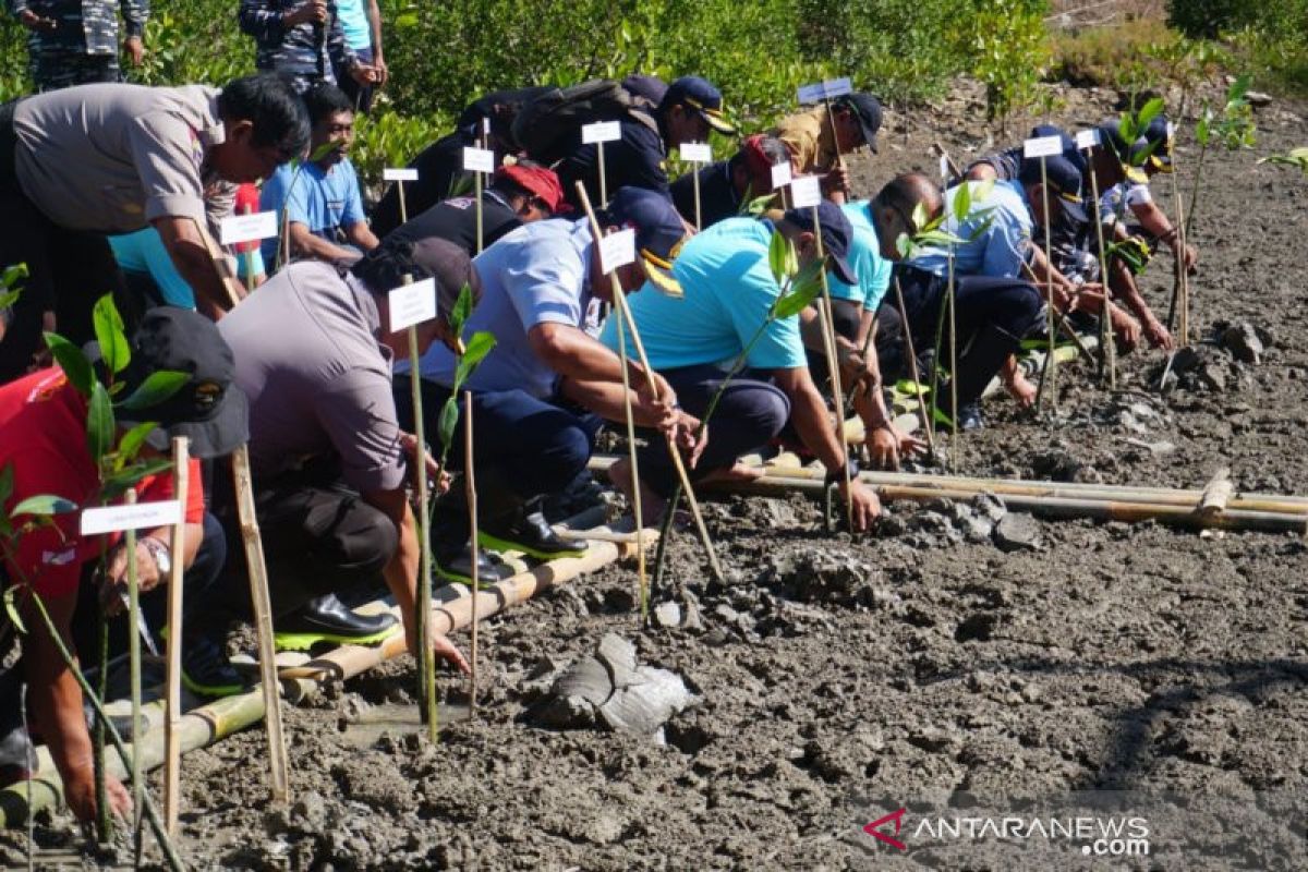 Pelindo III tanam 50.000 bibit bakau di Pelabuhan Benoa