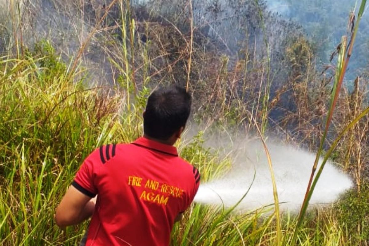 Gara-gara membakar sampah, dua hektare padang rumput di Agam hangus