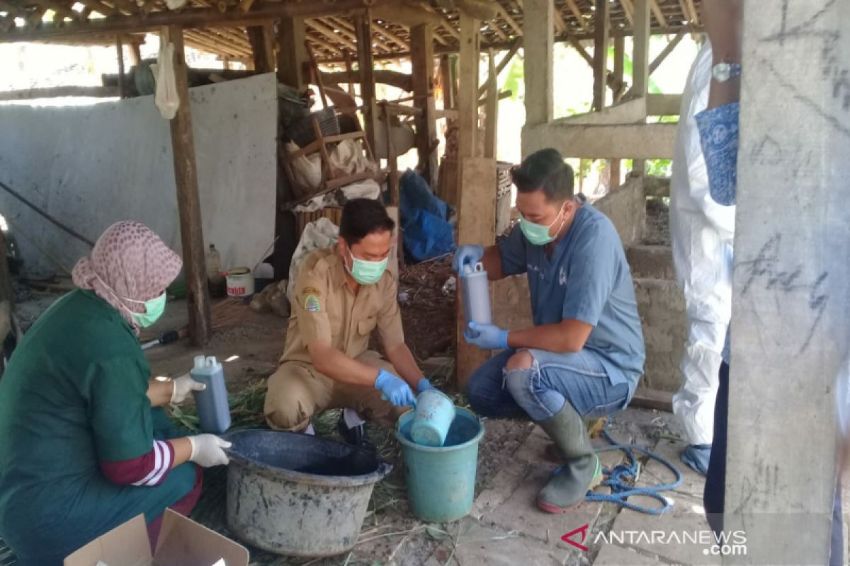Kulon Progo memberi vaksin hewan ternak di tiga kecamatan