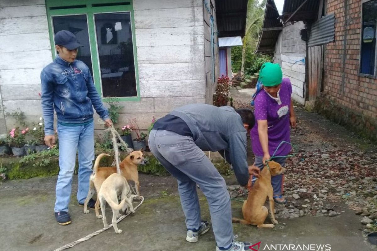 Rejang Lebong kekurangan ribuan dosis vaksin rabies