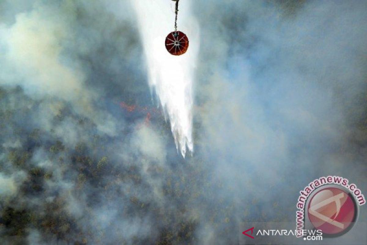 Danrem: Pantauan udara tidak ditemukan titik panas