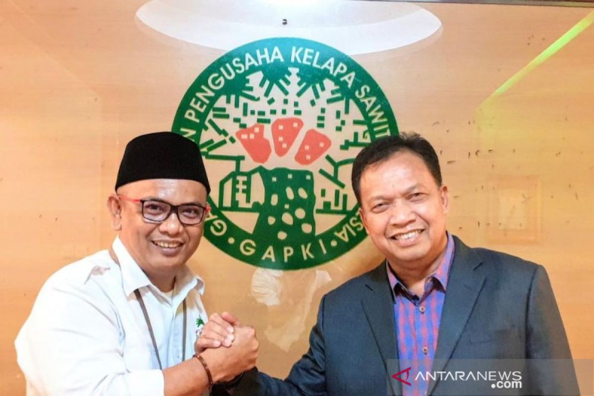 Apkasindo dukung pemerintah segera selesaikan RUU Cipta Kerja