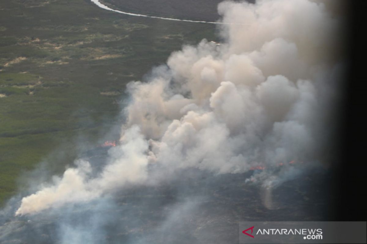 KLHK tingkatkan kesiapsiagaan atasi kebakaran hutan di Bulan September