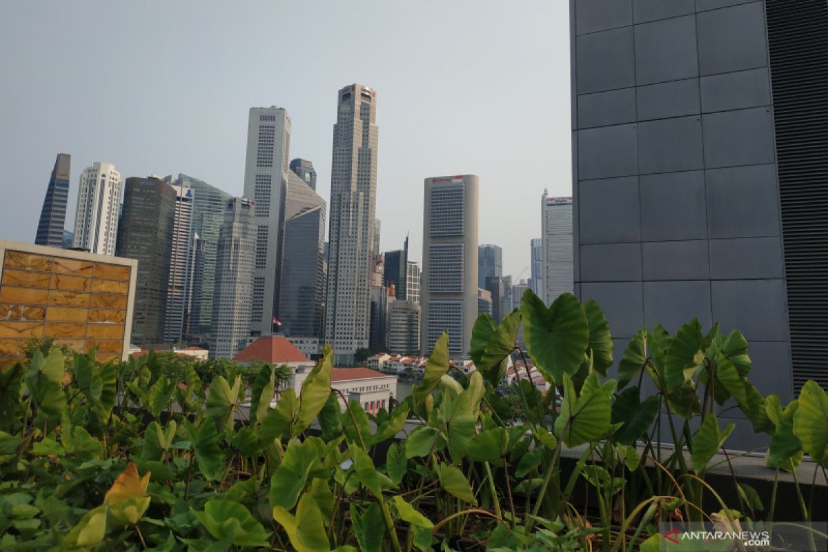 Ketika atap gedung disulap menjadi kebun di Singapura
