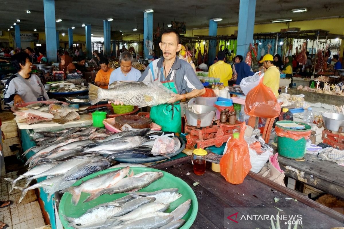 Surplus, ikan Kotim dipasarkan ke Pulau Jawa