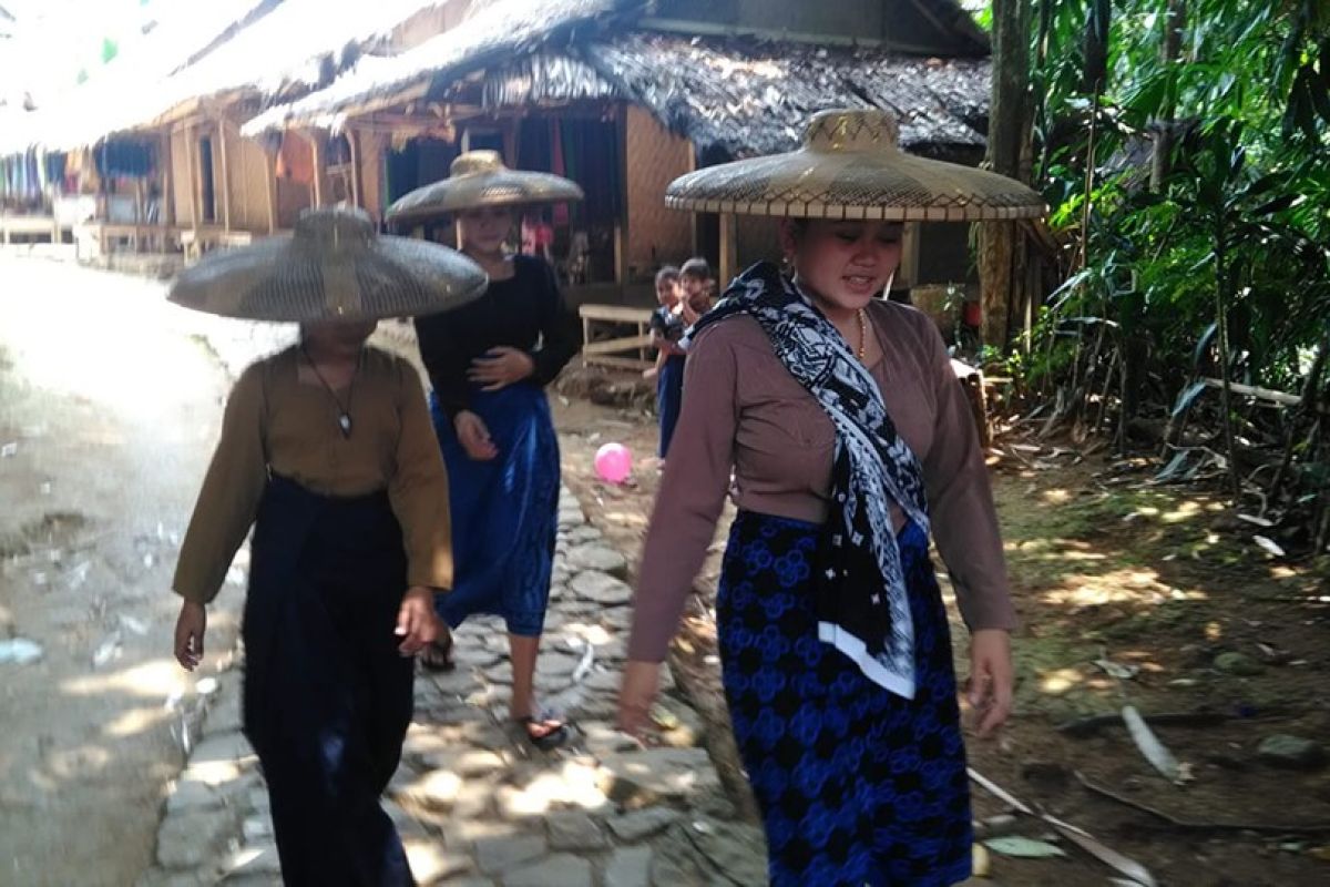 Petani Badui saat buka ladang waspadai ular berbisa