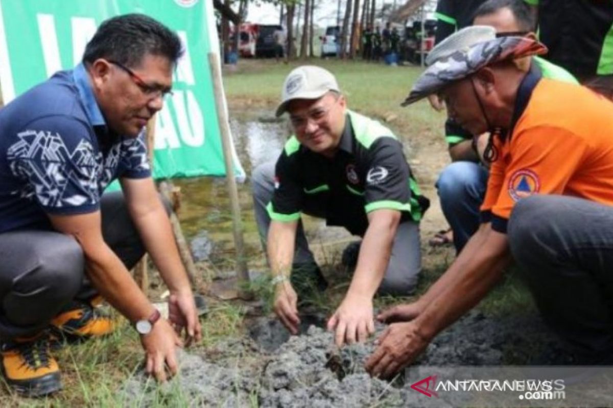 200 ribu hektare hutan di Babel rusak