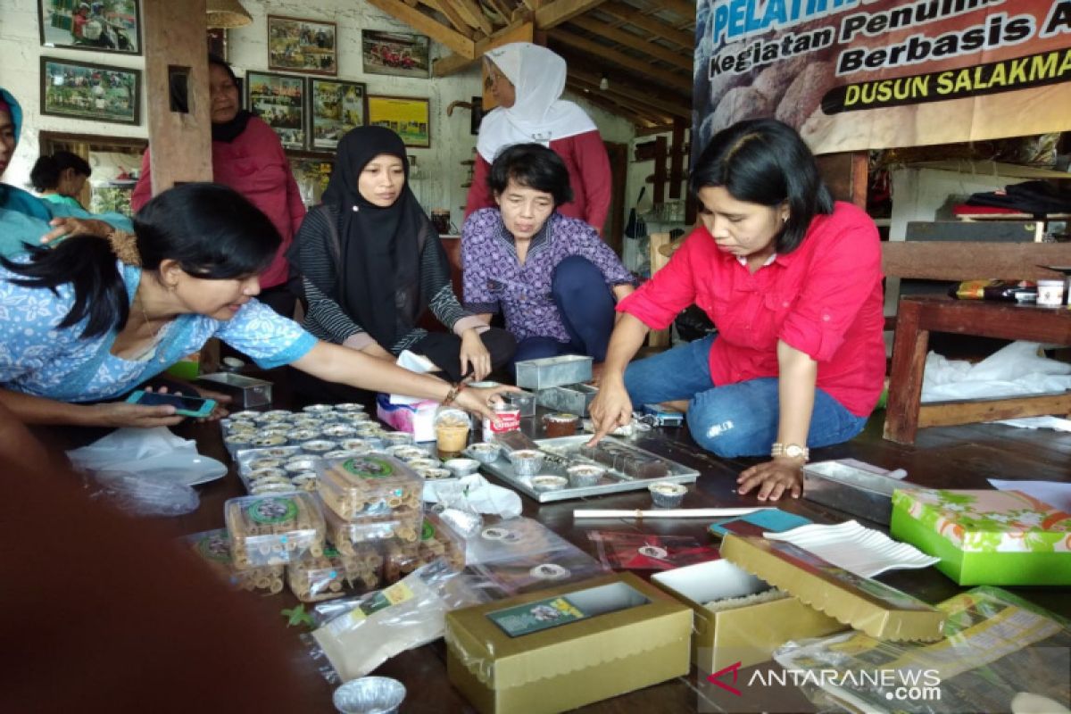 Kulon Progo kesulitan menciptakan ekosistem ekonomi kreatif