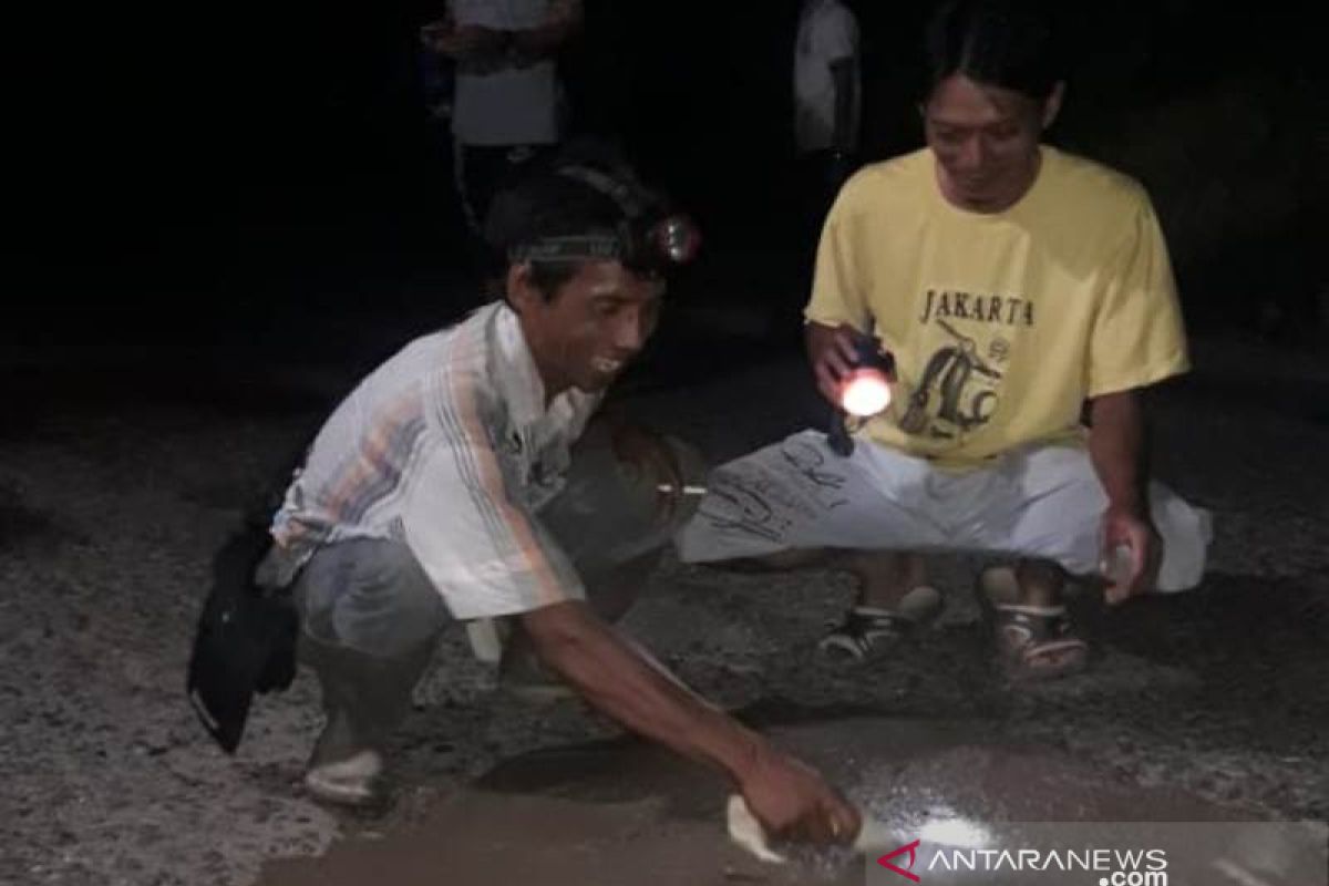 Warga Desa Haliau gotong royong tambal lubang jalan