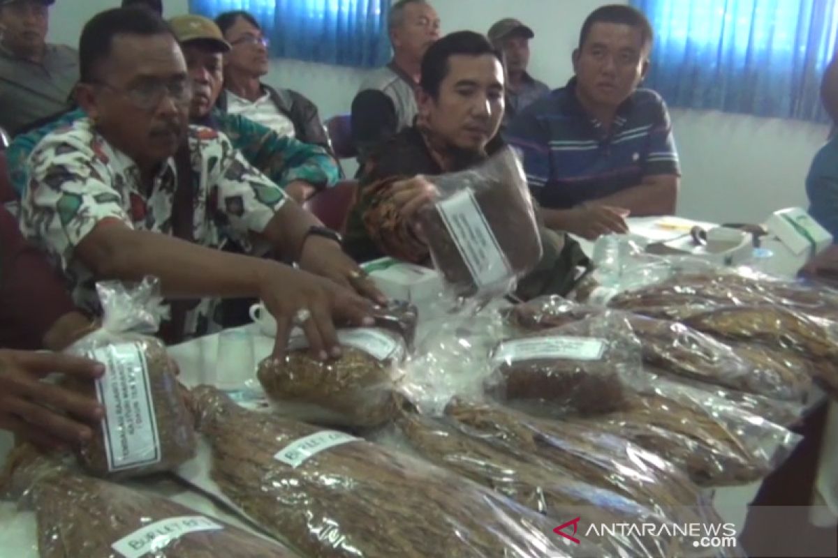 Petani Lumajang jajaki kerja sama dengan industri rokok Kudus