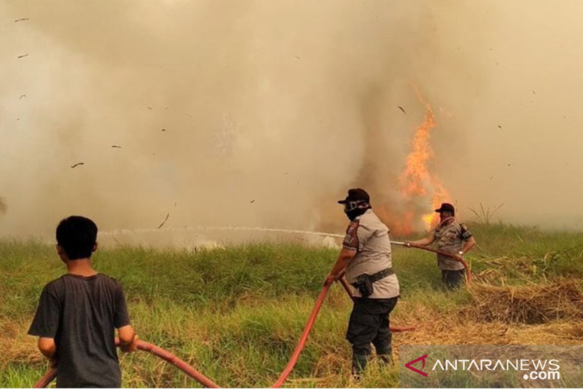 Polda Kalsel tersangkakan empat pelaku pembakaran lahan