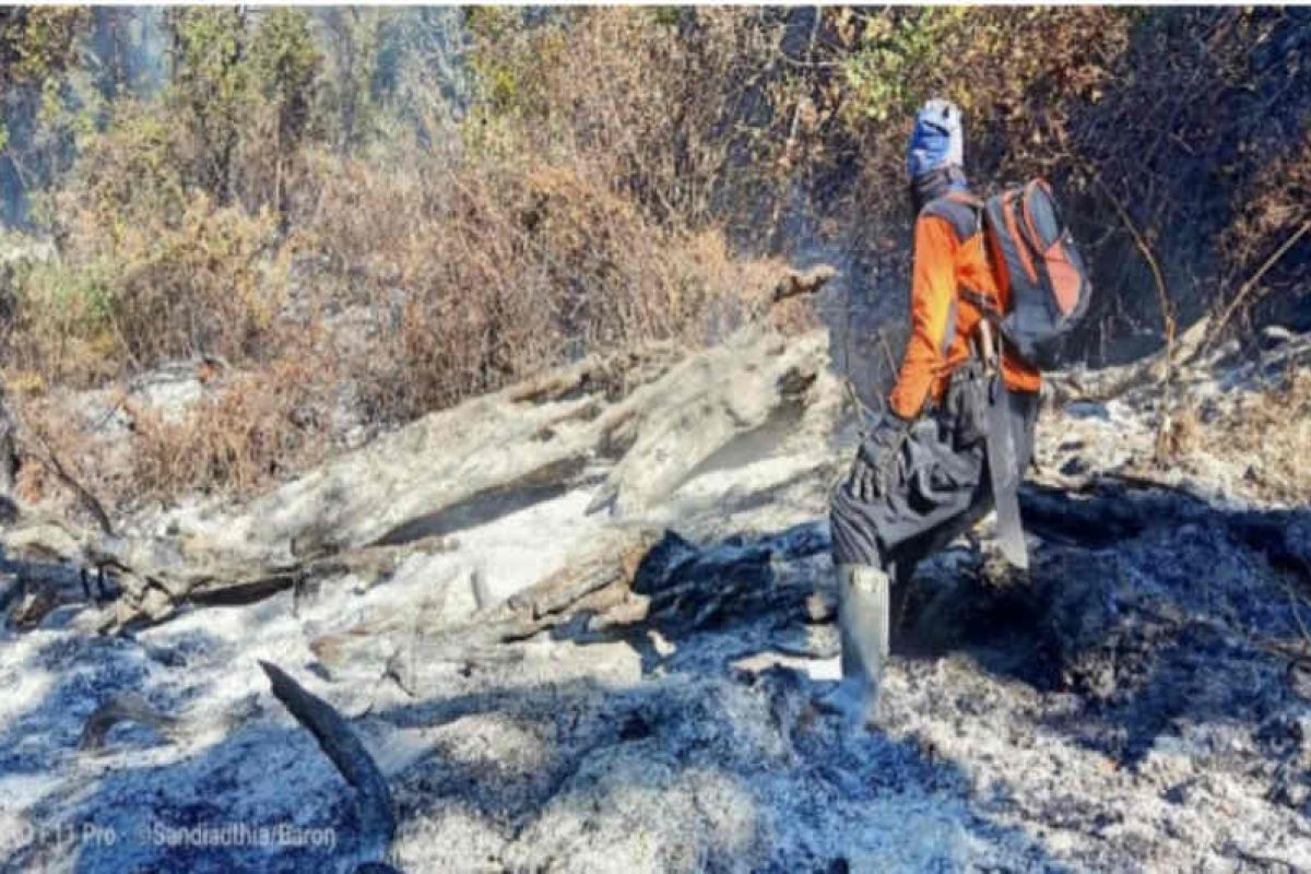 Kebakaran puncak Gunung Ciremai sudah padam