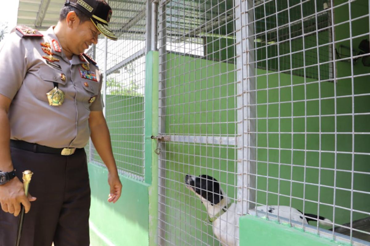 Kapolda Lampung kunjungi Sumatera Wildlife Center