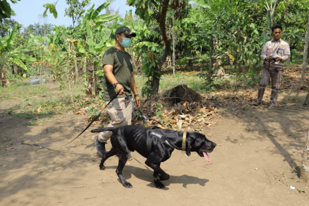 Polda Lampung bakal gunakan anjing untuk lacak penyelundupan satwa dilindungi