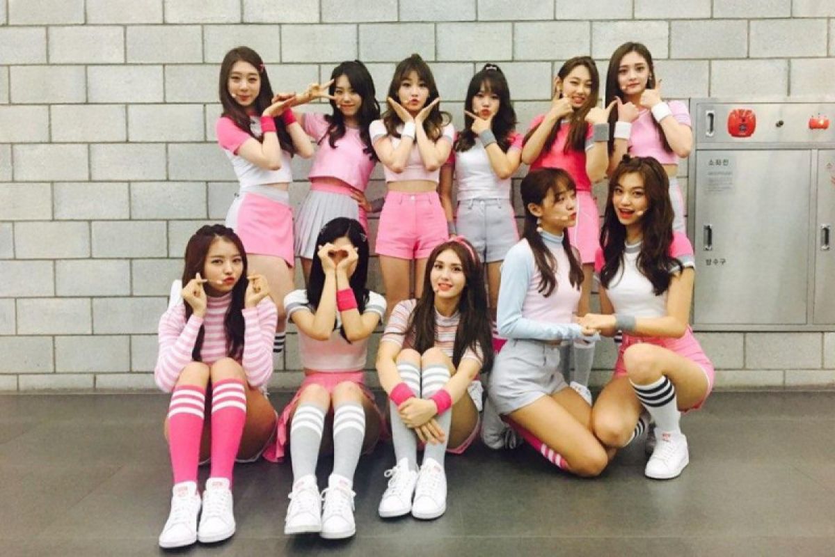 I.O.I tunda rilis album baru hingga Desember