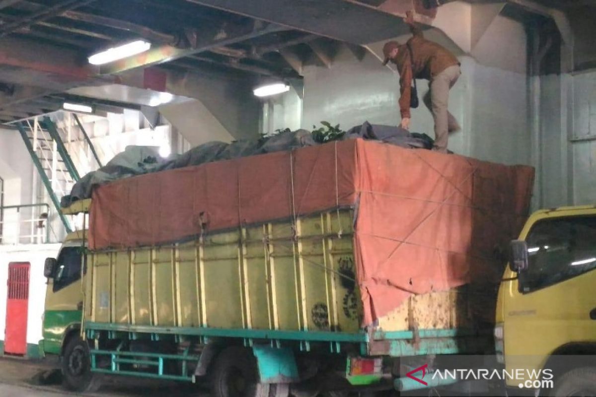 BKP Pangkalpinang berhasil gagalkan penyeludupan 1.020 burung colibri