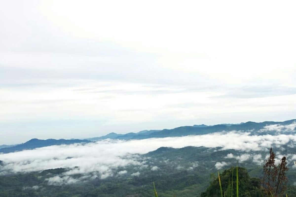 Bukit Tempurung di Sarolangun sajikan pesona awan memikat