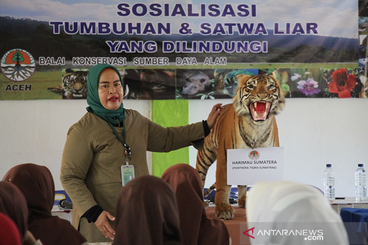 BKSDA Aceh edukasi jenis tumbuhan dan satwa dilindung kepada pelajar