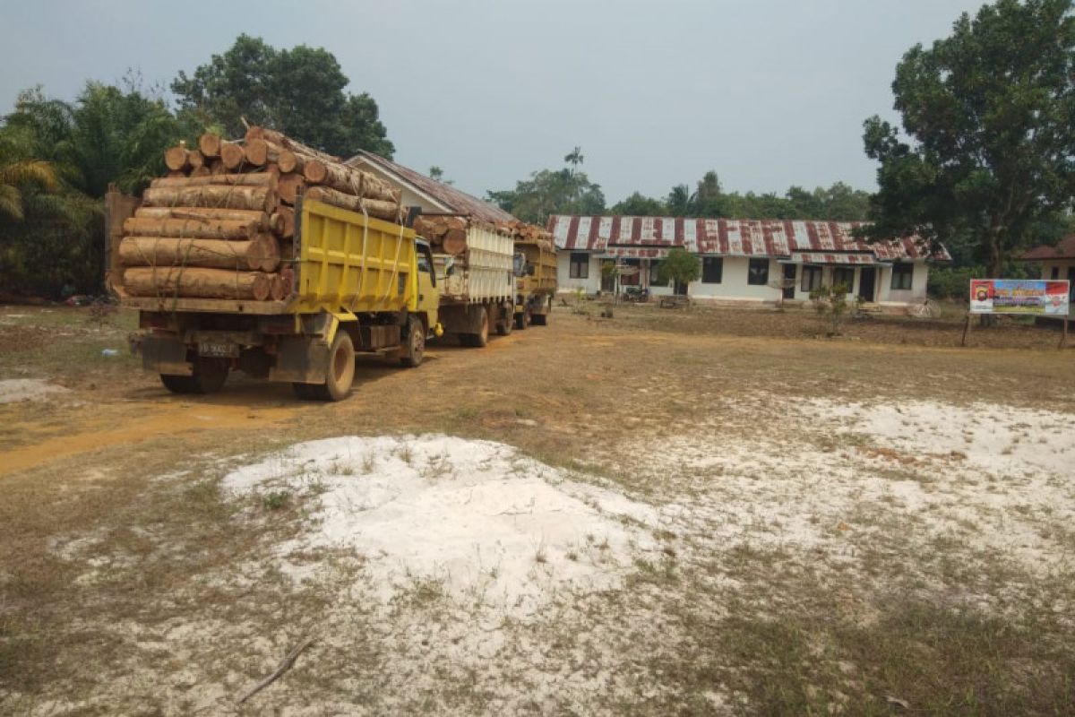 Satgas Pamtas amankan tiga unit truk kayu ilegal