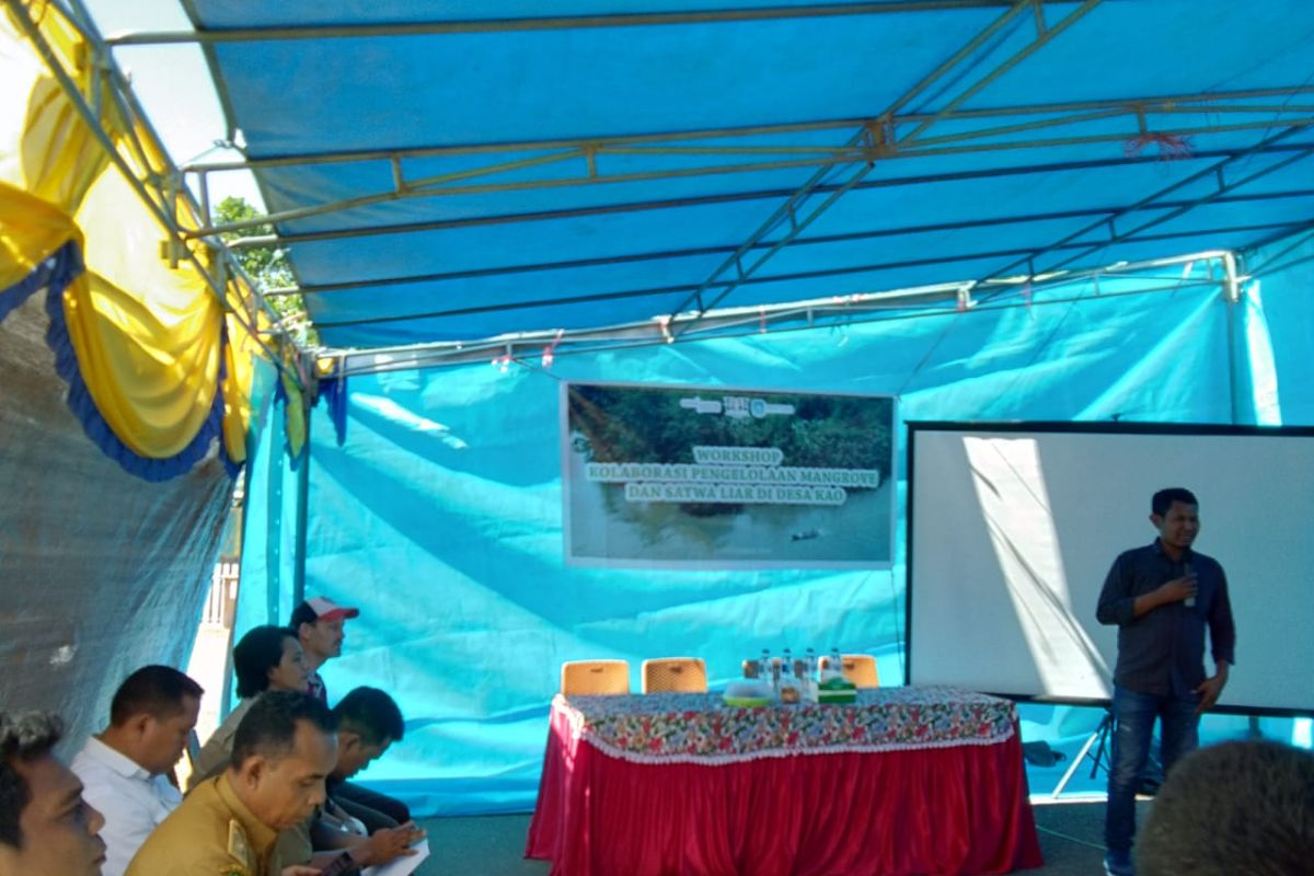 Sejumlah elemen di Malut peduli  mangrove dan satwa liar