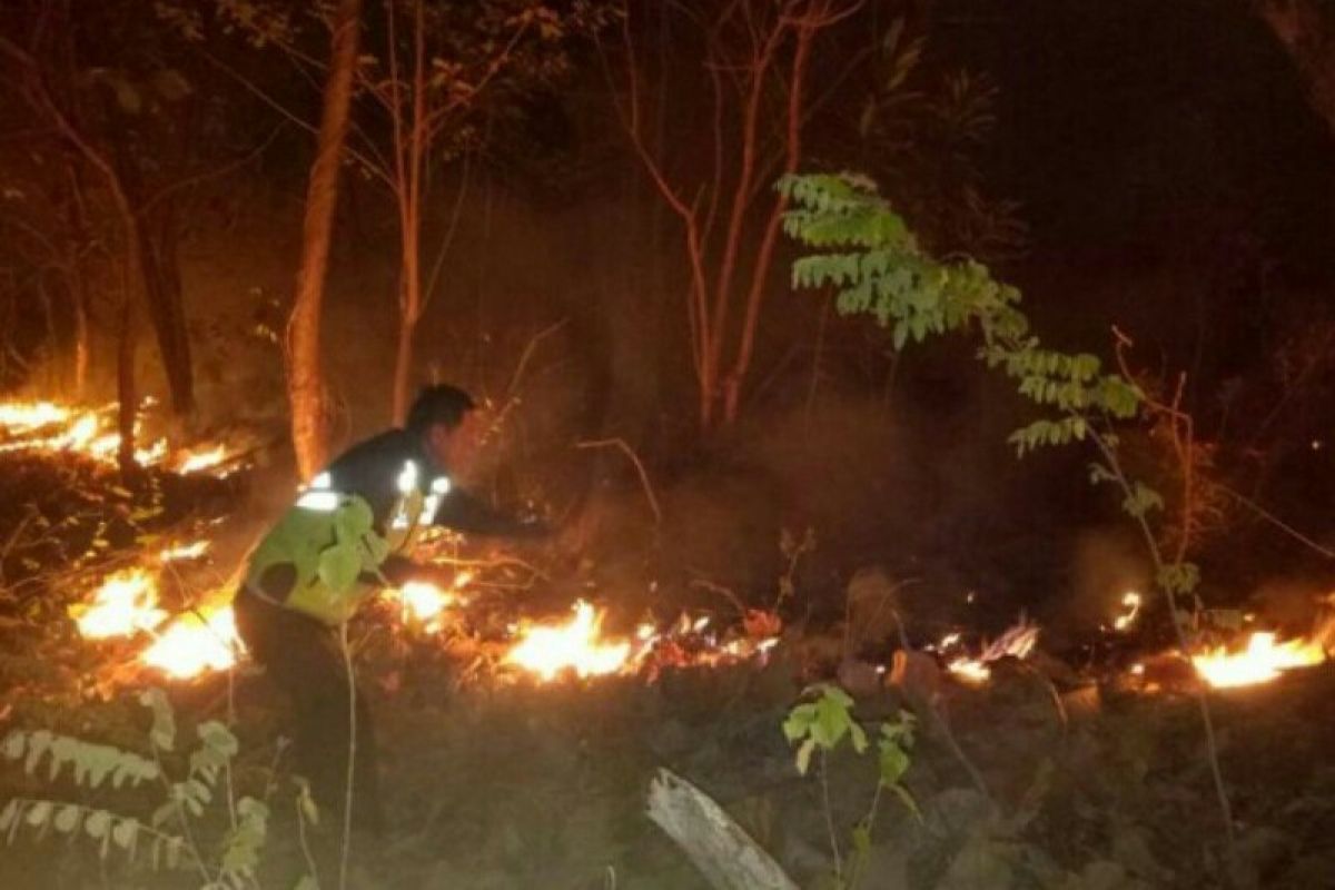 Kebakaran lahan di Kabupaten Majene berhasil dipadamkan