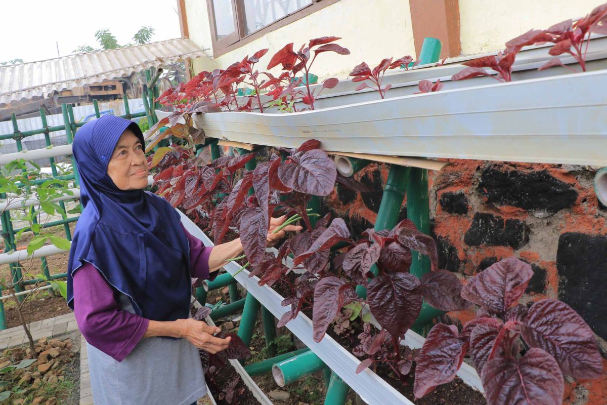 Dinas Sosial Tanggerang berikan kegiatan berkebun dan bermain angklung untuk melatih motorik lansia