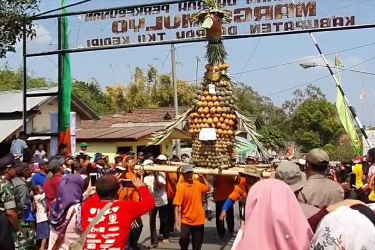Festival Nanas di area wisata Gunung Kelud berlangsung meriah