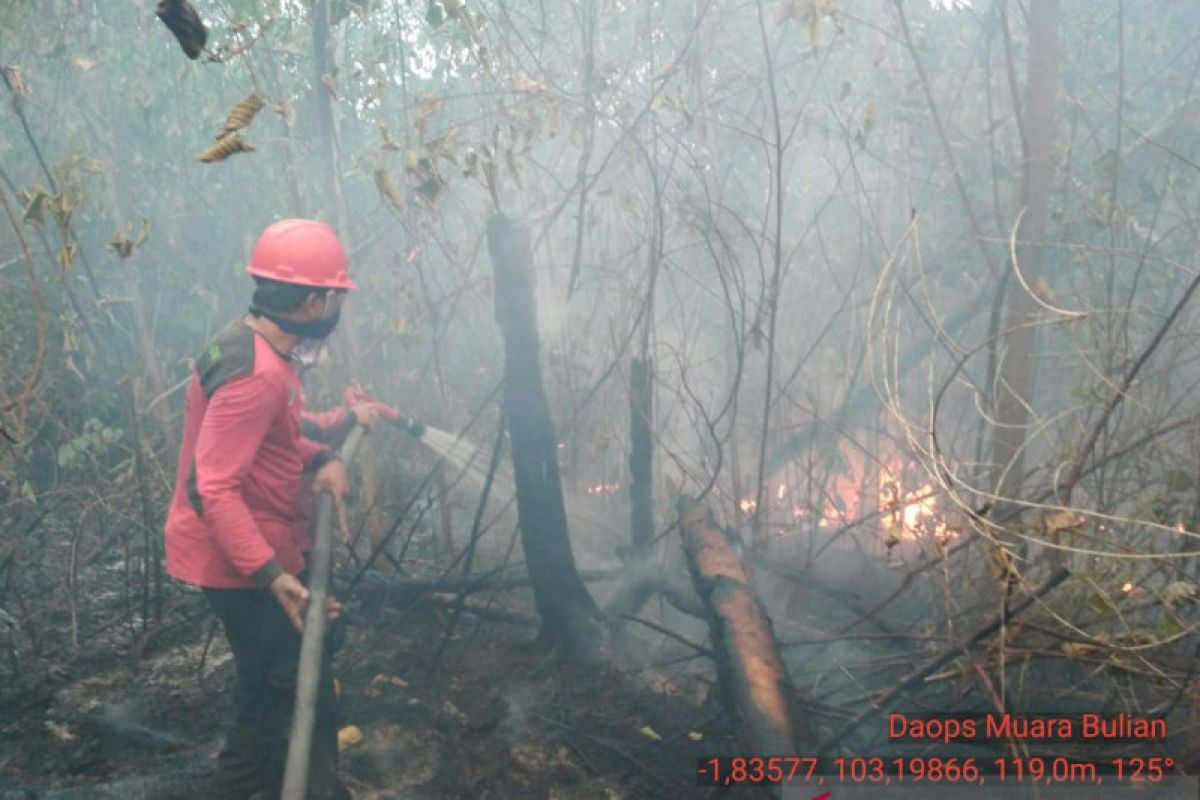 70 hektare kawasan Tahura Sultan Thaha  terbakar