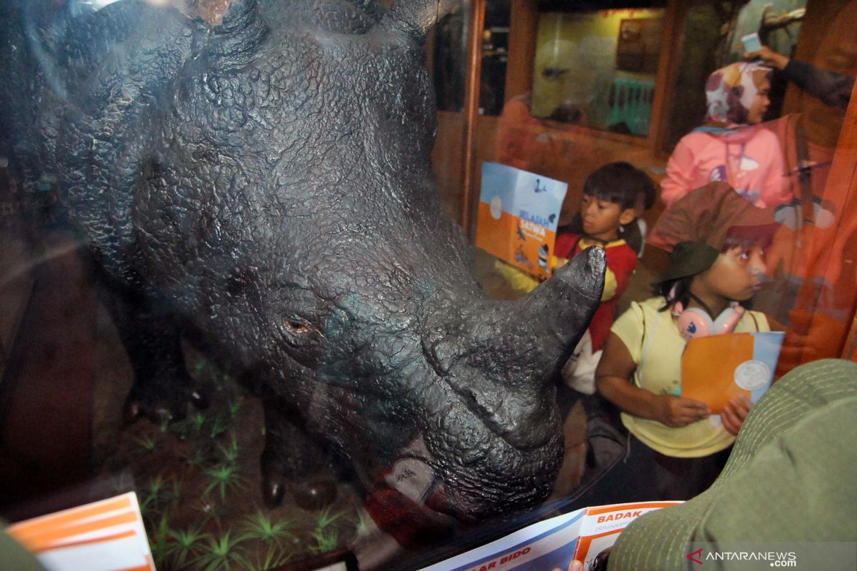 Pengunjung museum SMB II Palembang  meningkat akhir pekan