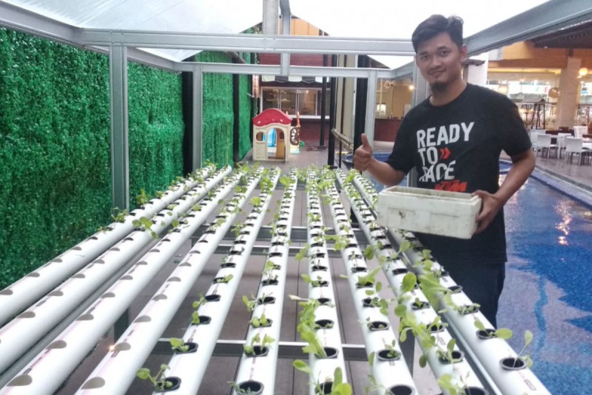 Loteng rumah Setiaji warga Natar, manfaatkan untuk kebun sayuran hidroponik