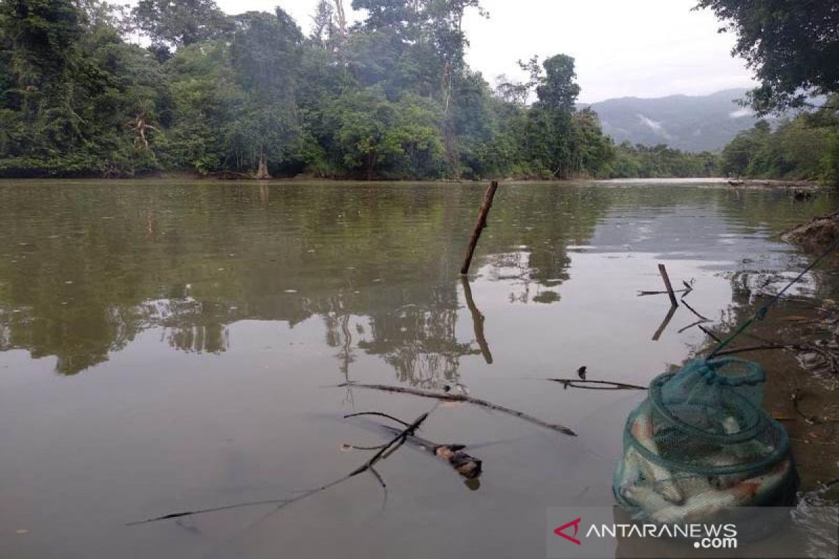 Masyarakat Samar Kilang mulai larang penangkapan burung dan ikan