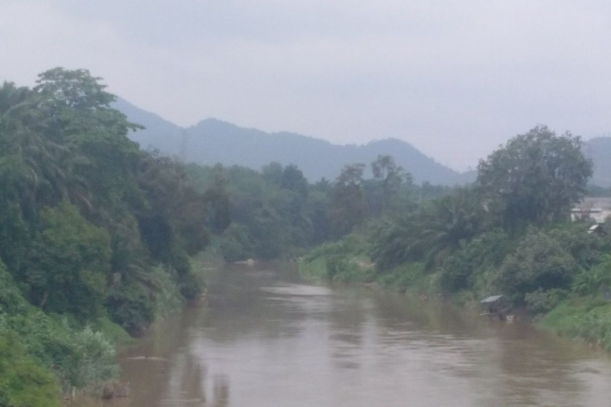 Tiga daerah di Sumut diselimuti kabut asap