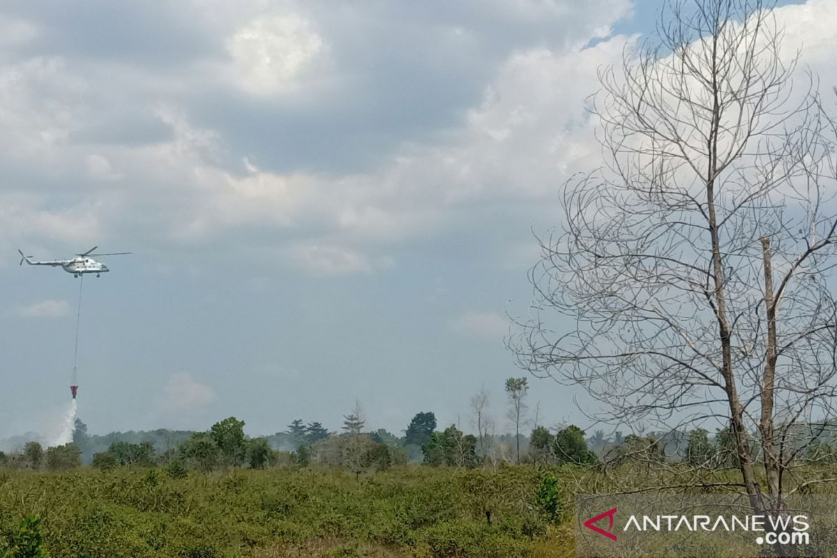 BMKG: seluruh wilayah Kalimantan Selatan diselimuti kabut asap