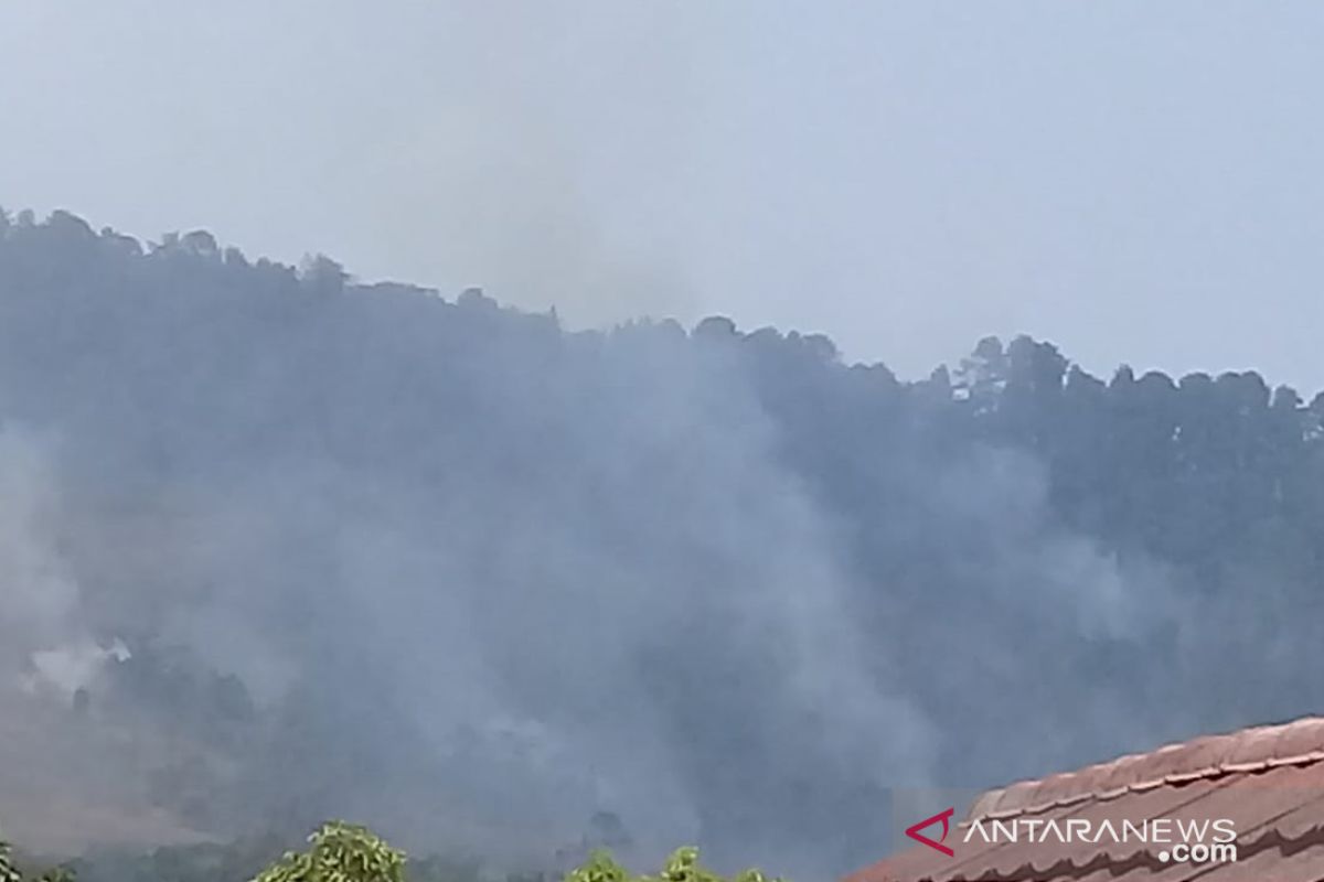 Kebakaran hutan dan lahan Gunung Walat Sukabumi meluas