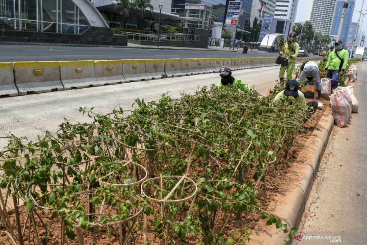 Kamis pagi, Jakarta tempati posisi ketiga udara terburuk sedunia