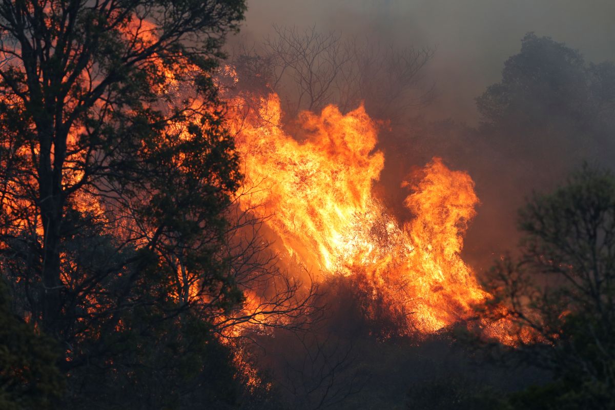 Angin kencang perparah kebakaran hutan di Australia