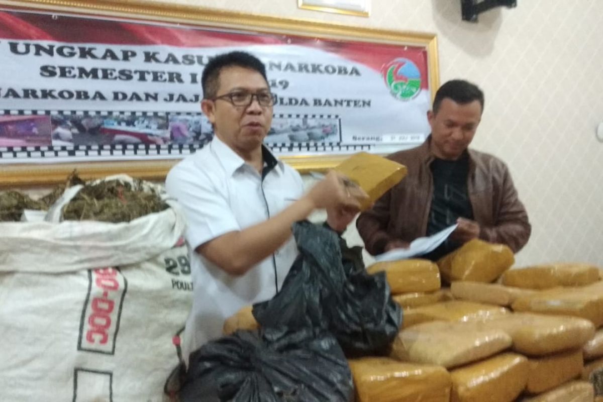 Lima  bandar narkoba di Banten dibekuk polisi, 82 kg ganja diamankan