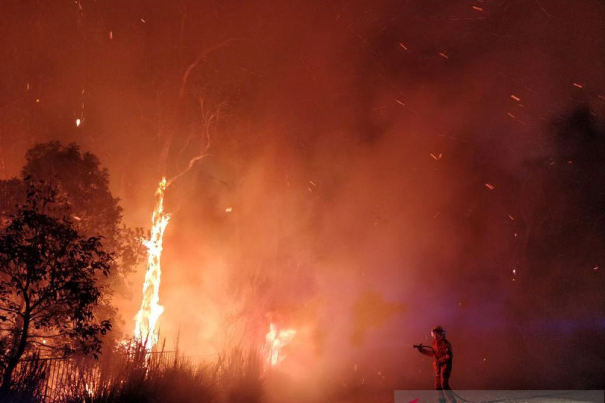 Warga tinggalkan rumah, api di luar kendali merusak ribuan hektar lahan Australia