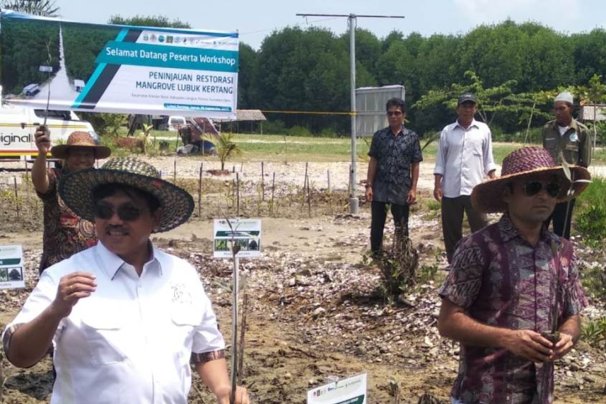 Dinas Pariwisata Sumut tinjau ekowisata mangrove Lubuk Kertang Langkat