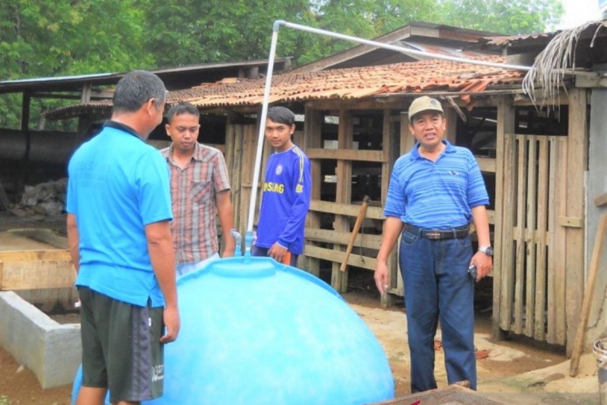 Environmentally Friendly Beef Cattle Farm are introduced in Dharmasraya