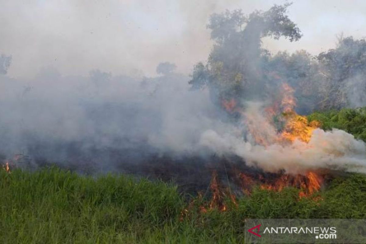 Kebakaran lahan di calon ibu kota baru meningkat